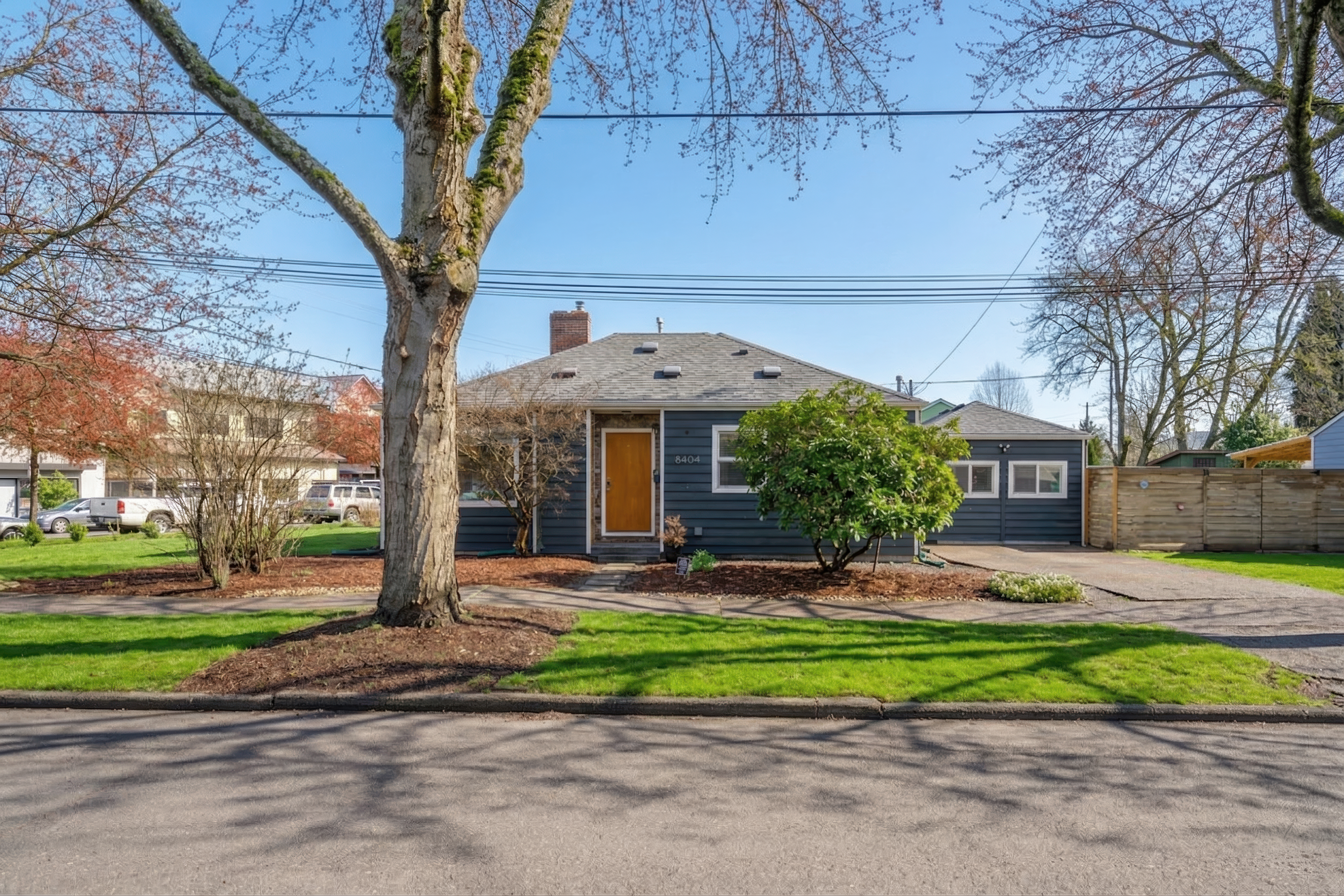 Street view with mature tree